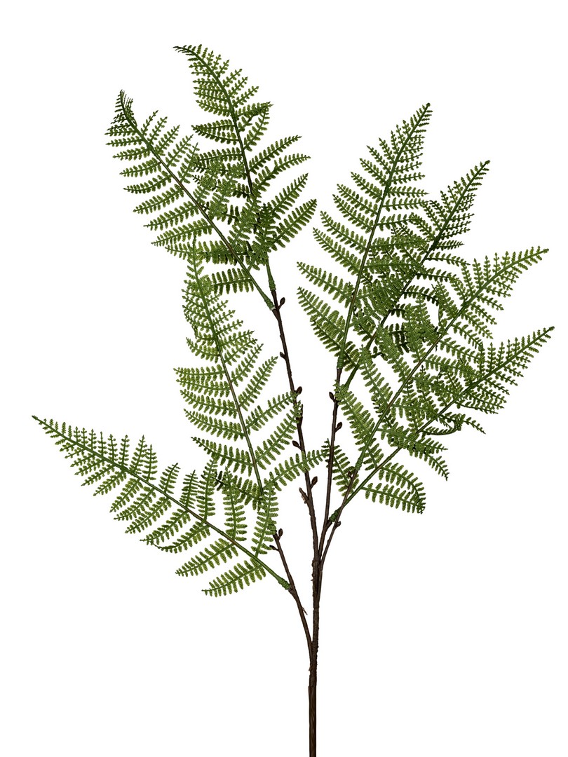 Deko-Farnzweig; ca. 76cm